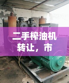 二手榨油机转让,市场潜力与风险解析