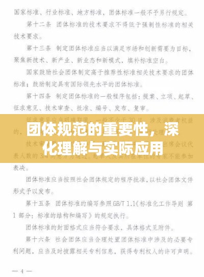 团体规范的重要性,深化理解与实际应用