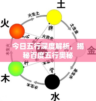 今日五行深度解析,揭秘百度五行奥秘