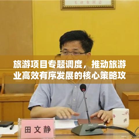 旅游项目专题调度,推动旅游业高效有序发展的核心策略攻略
