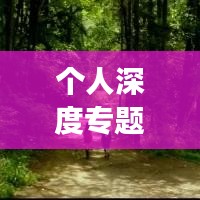 个人深度专题剖析报告,揭示成长轨迹,挖掘内在潜力