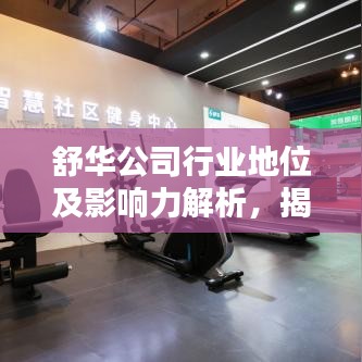 舒华公司行业地位及影响力解析,揭秘排名背后的实力与影响力