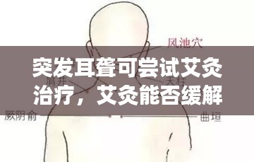 突发耳聋可尝试艾灸治疗,艾灸能否缓解耳聋症状?
