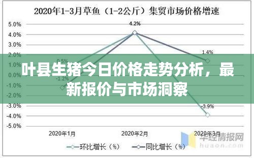 叶县生猪今日价格走势分析,最新报价与市场洞察
