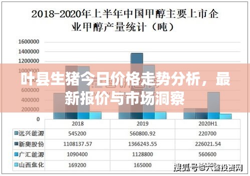 叶县生猪今日价格走势分析,最新报价与市场洞察