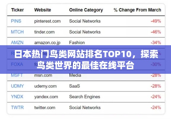 日本热门鸟类网站排名TOP10,探索鸟类世界的最佳在线平台