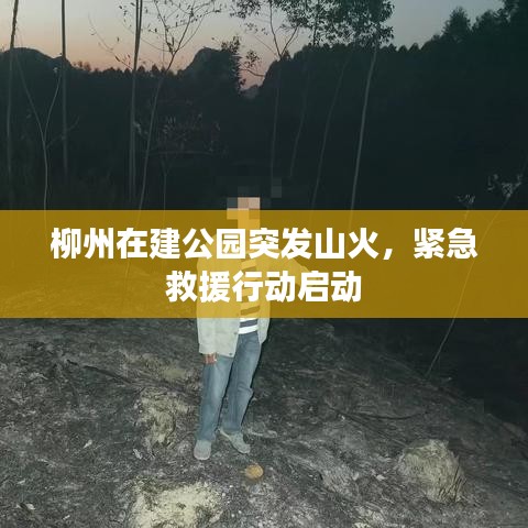 柳州在建公园突发山火,紧急救援行动启动