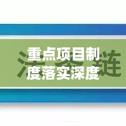 重点项目制度落实深度剖析与成效评估