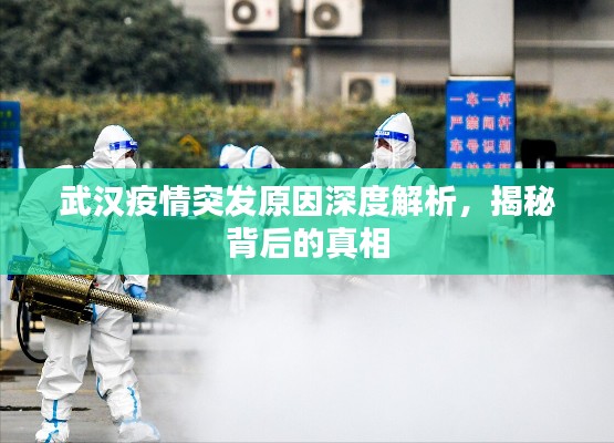 武汉疫情突发原因深度解析,揭秘背后的真相