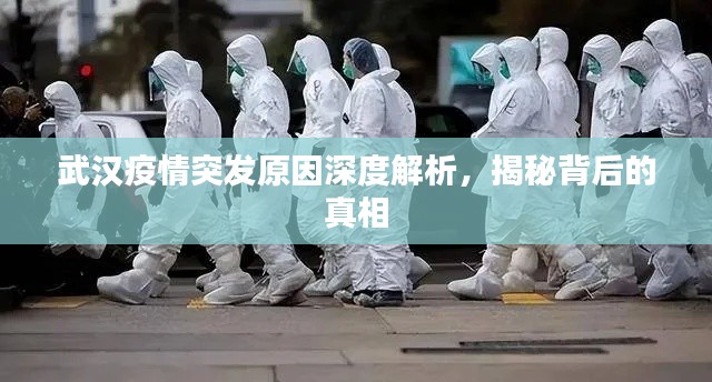 武汉疫情突发原因深度解析,揭秘背后的真相