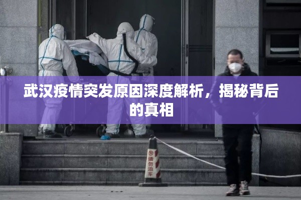 武汉疫情突发原因深度解析,揭秘背后的真相