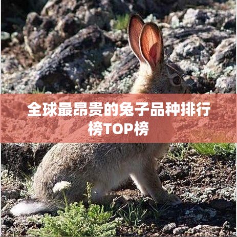 神清气朗 第2页