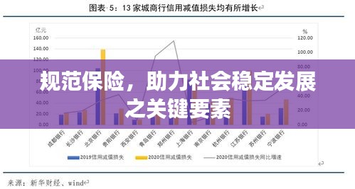 规范保险,助力社会稳定发展之关键要素