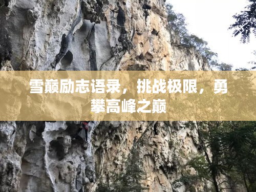 雪巅励志语录,挑战极限,勇攀高峰之巅