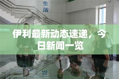 伊利最新动态速递,今日新闻一览