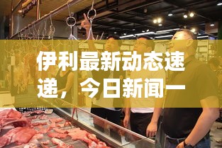 伊利最新动态速递,今日新闻一览