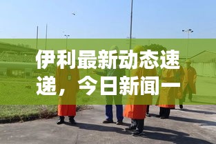伊利最新动态速递,今日新闻一览