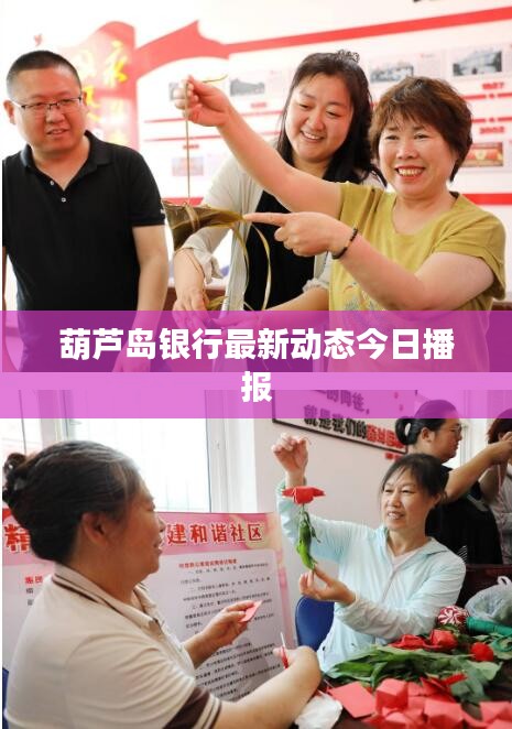 葫芦岛银行最新动态今日播报