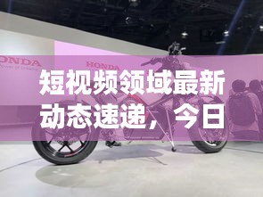 短视频领域最新动态速递,今日消息一网打尽!
