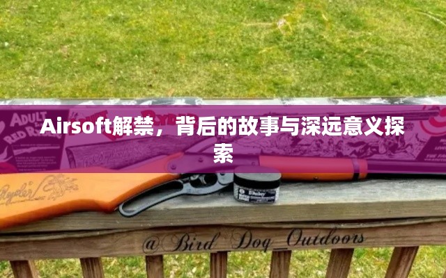 Airsoft解禁,背后的故事与深远意义探索