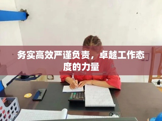 务实高效严谨负责,卓越工作态度的力量