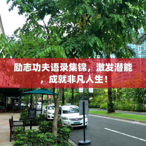 励志功夫语录集锦,激发潜能,成就非凡人生!