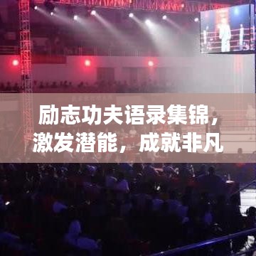 励志功夫语录集锦,激发潜能,成就非凡人生!