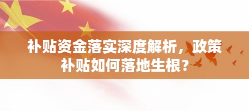 补贴资金落实深度解析,政策补贴如何落地生根?