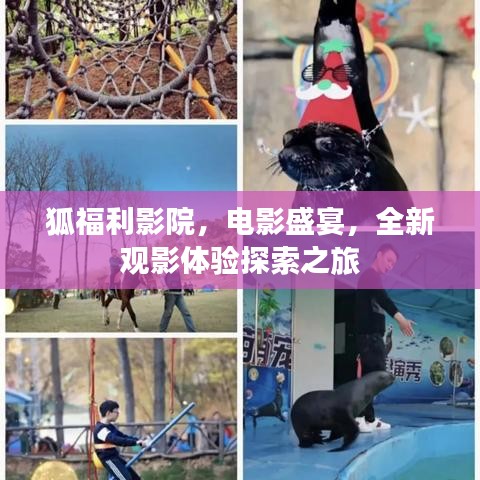 狐福利影院,电影盛宴,全新观影体验探索之旅