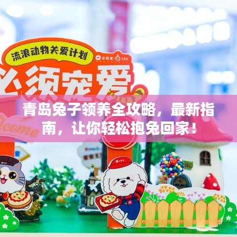 青岛兔子领养全攻略,最新指南,让你轻松抱兔回家!