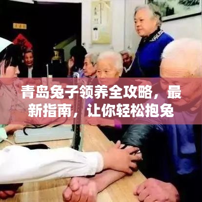 青岛兔子领养全攻略,最新指南,让你轻松抱兔回家!