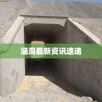 千载难逢 第3页