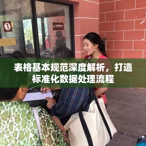 表格基本规范深度解析,打造标准化数据处理流程