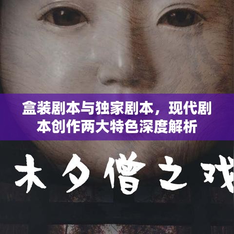 盒装剧本与独家剧本,现代剧本创作两大特色深度解析