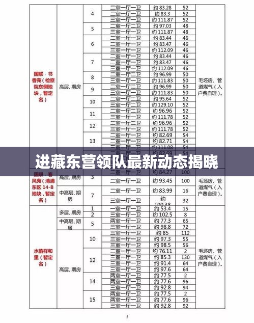 进藏东营领队最新动态揭晓