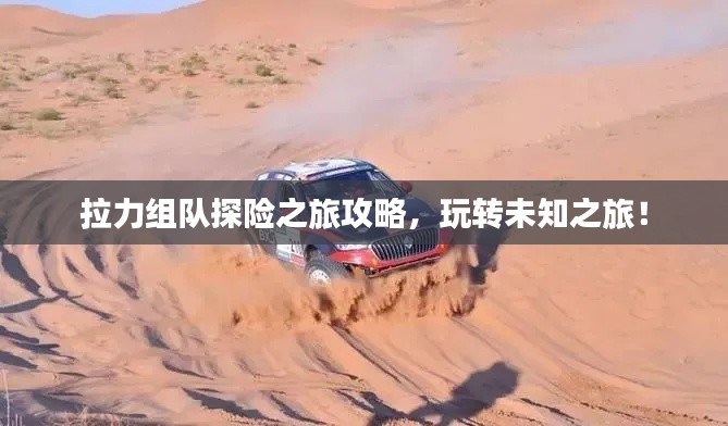 拉力组队探险之旅攻略,玩转未知之旅!