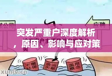 突发严重户深度解析,原因、影响与应对策略