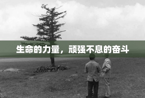 生命的力量,顽强不息的奋斗