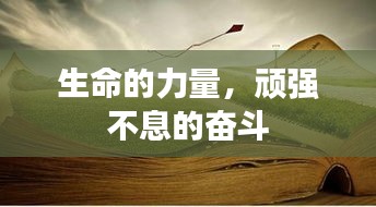 生命的力量,顽强不息的奋斗