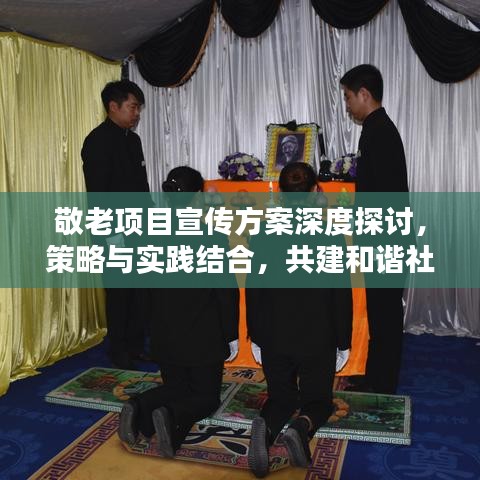 敬老项目宣传方案深度探讨,策略与实践结合,共建和谐社会孝道风采