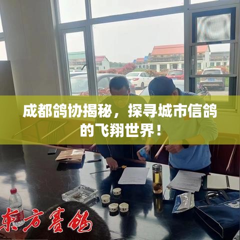 物以稀为贵 第3页