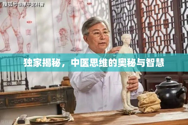 破马张飞 第2页