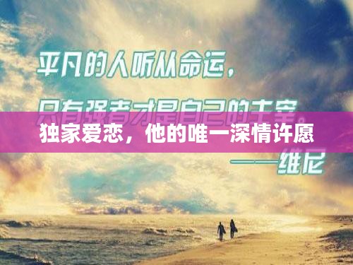 独家爱恋,他的唯一深情许愿