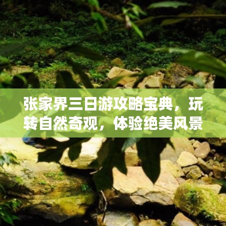 张家界三日游攻略宝典,玩转自然奇观,体验绝美风景!
