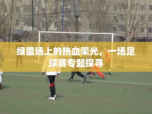 绿茵场上的热血荣光,一场足球赛专题探寻