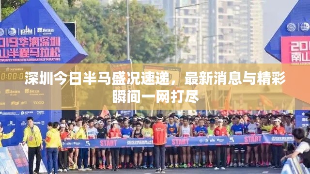 深圳今日半马盛况速递,最新消息与精彩瞬间一网打尽