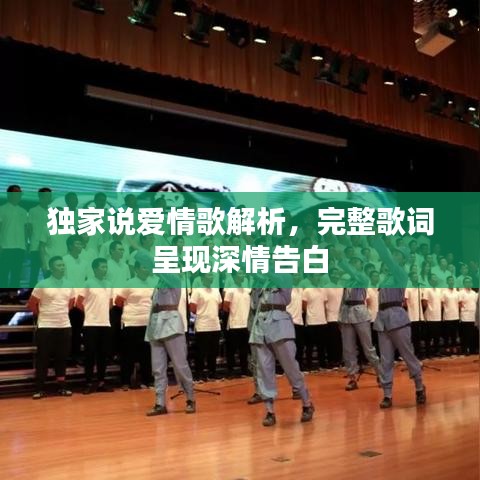 独家说爱情歌解析,完整歌词呈现深情告白