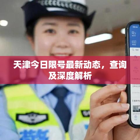 天津今日限号最新动态,查询及深度解析