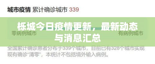 栎城今日疫情更新,最新动态与消息汇总