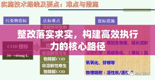 整改落实求实,构建高效执行力的核心路径